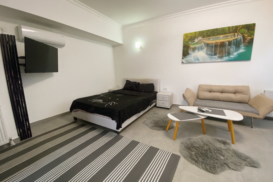 Studio | Vedere frontala spre lac | Solid House Butoaie | Termen lung